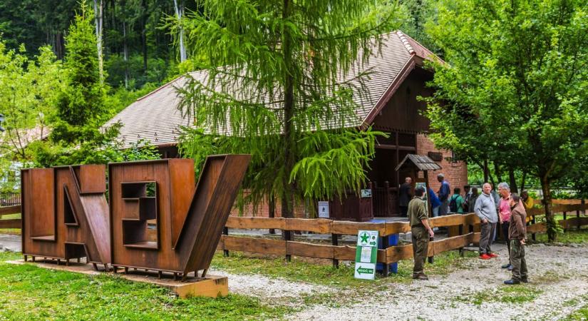 Gombabemutatóval bővült a garadnai Erdészeti Gyűjtemény