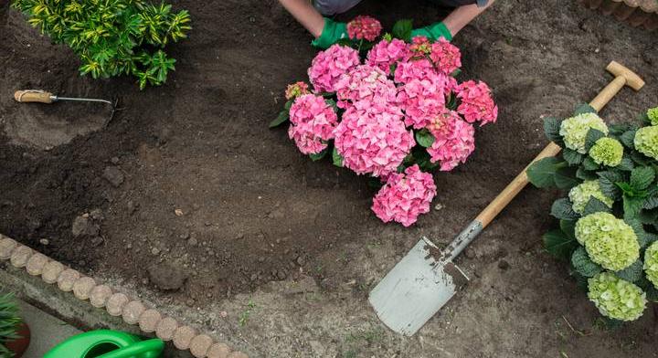 Ártalmatlannak tűnik, de tönkreteheti a kertedet ez az eszköz