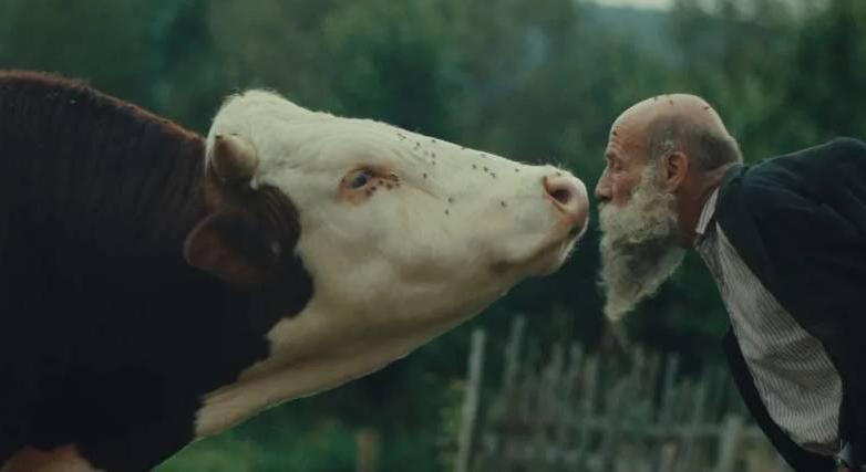 Holtan találták a fődíjat bezsebelő dokumentumfilm főszereplőjét a Karlovy Vary-i filmfesztivál után