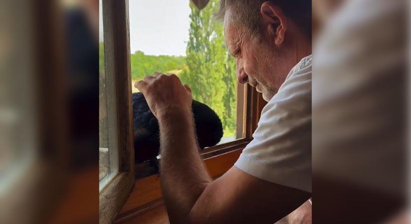 A világ legboldogabb embere somogyi. Legalábbis a kommentelők szerint