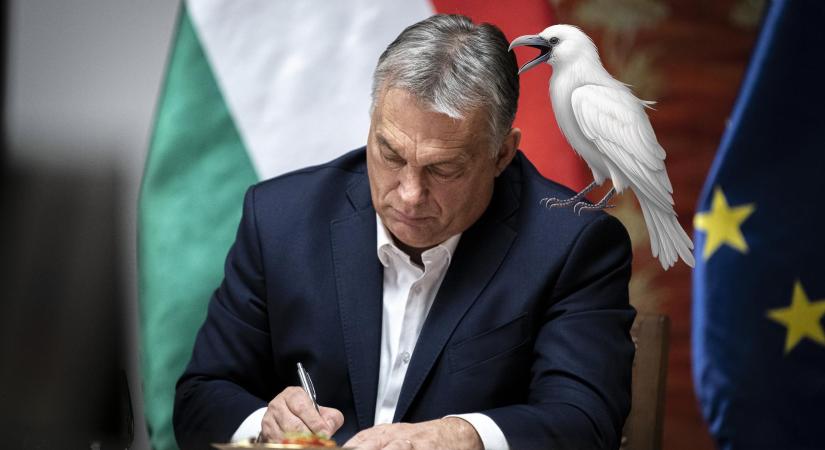 A jó Orbán-interjú esete a fehér hollóval – Selmeci János jegyzete