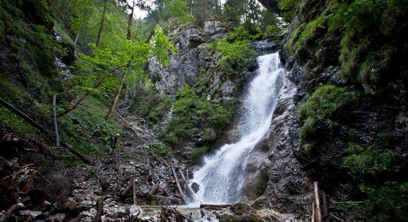 Rovarcsípés után lett rosszul egy turista a Szlovák Paradicsomban