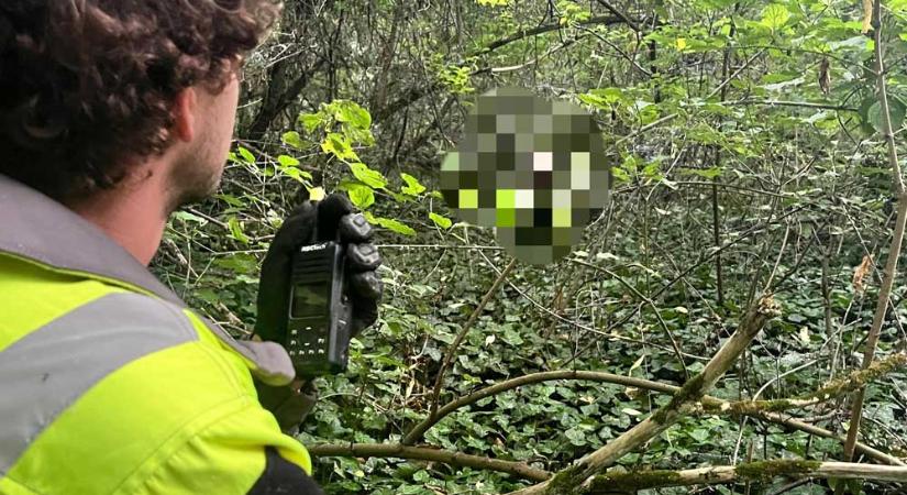 Meztelen, zavarodott nőt mentettek meg a kutató-mentők Biatorbágyon, az asszony pár hónapja a viaduknál szaladgált ruha nélkül