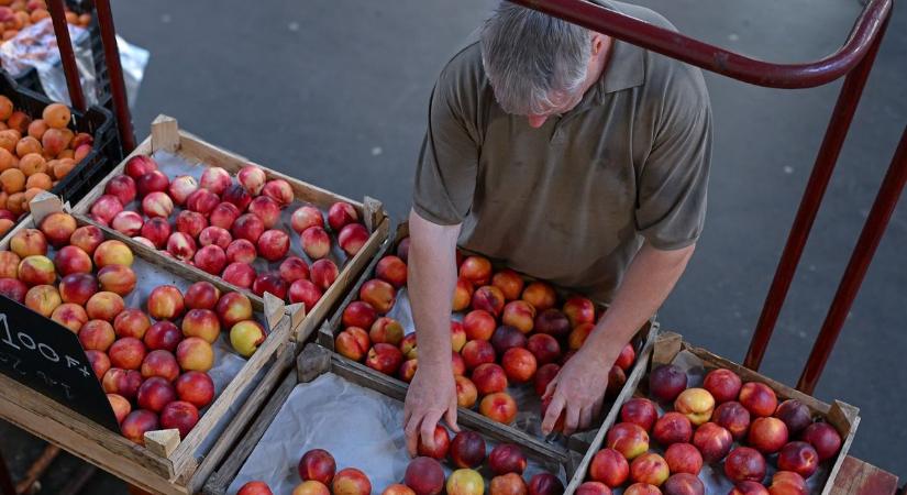 Ennyibe kerül, ha otthon készítenénk sárgabaracklekvárt és az egri piacon szerezzük be a gyümölcsöt