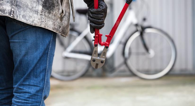 Mozgássérült fiatal biciklijét lopták el Veresegyházon, most mindenki a tolvajt keresi