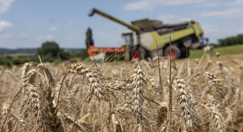 „Figyeljünk!” – egy még mindig aktuális veszélyre hívta fel a figyelmet az agrárminiszter