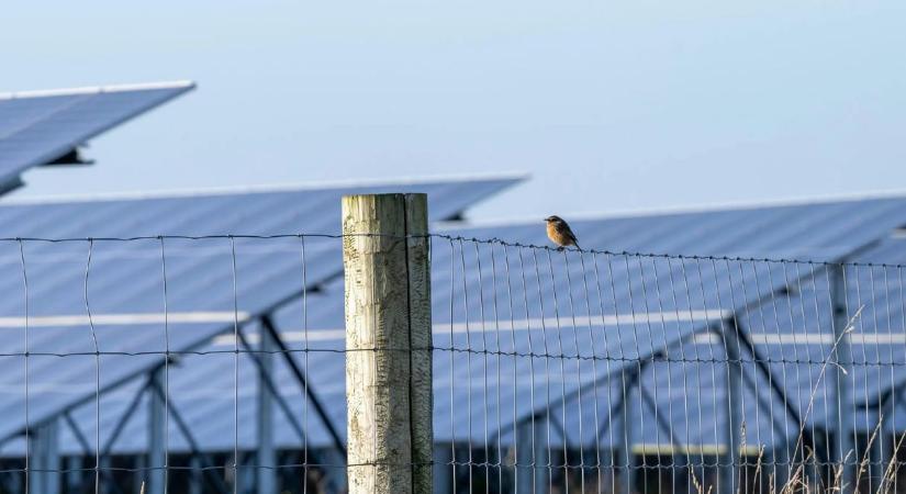 Soha nem történt még ilyen: Európa első számú energiaforrása lett júniusban a Nap