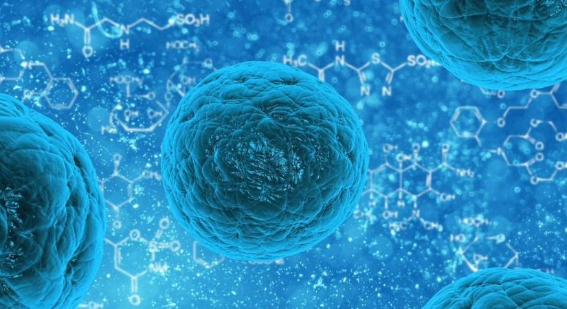 Kolera: idős nőnél diagnosztizálták a fertőzést, 26-an karanténban