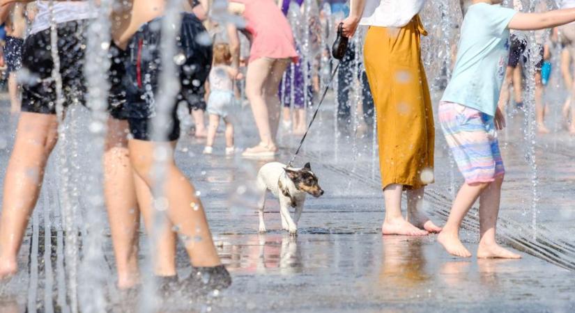 Így élje túl a forró napokat – Ezekre figyeljen oda hőségriasztás esetén!