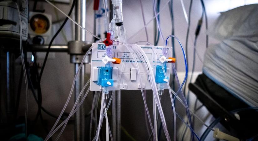 Meghalt a szaúdi herceg, aki húsz évet töltött kómában