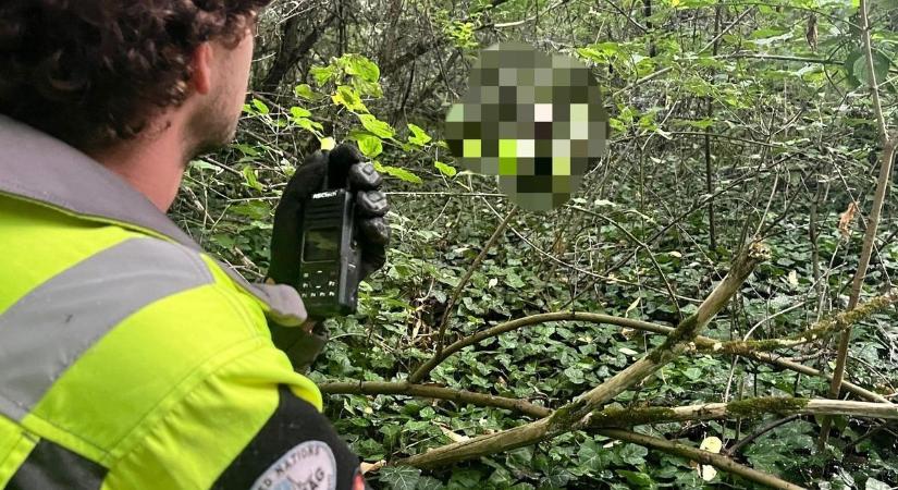 Meztelenül kóborolt egy nő az erdőben, egy férfi öngyilkosságra készült – mindkettőjüket megmentették