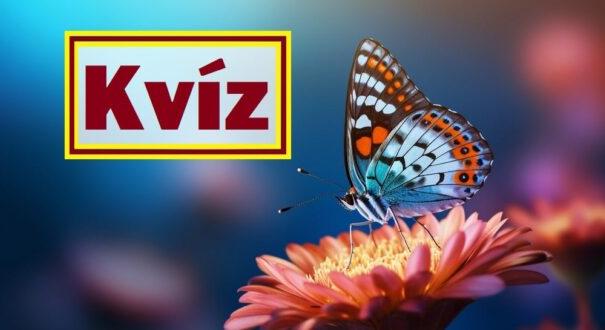 Nyolc kvízkérdés: Ez az igazi elmebajnokság. Hány pontod lett? (895)