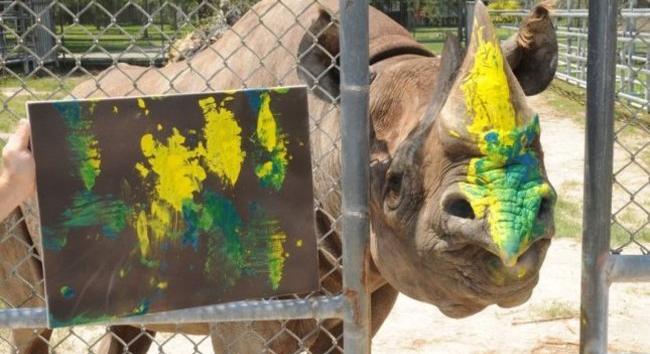 Elpusztult Toshi a világ legkedveltebb orrszarvúja, aki festeni is tudott