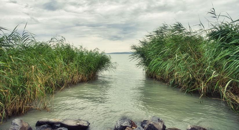 Furcsa kép terjed a Balatonról, nagyon nem stimmel valami