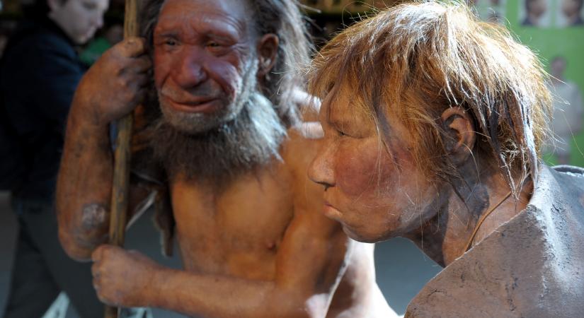 A neandervölgyiek gasztronómiájában már megjelent az „ahány ház, annyi szokás” sokfélesége