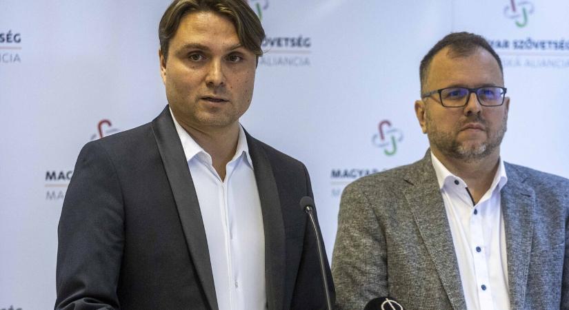 Szövetség: legyen „nemzetiségi párt”, 2 százalékos bejutásai küszöbbel