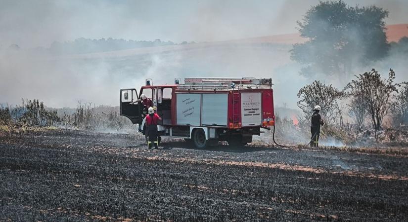 Lángba borult a gabonatábla – a füst a 61-es utat is beterítette