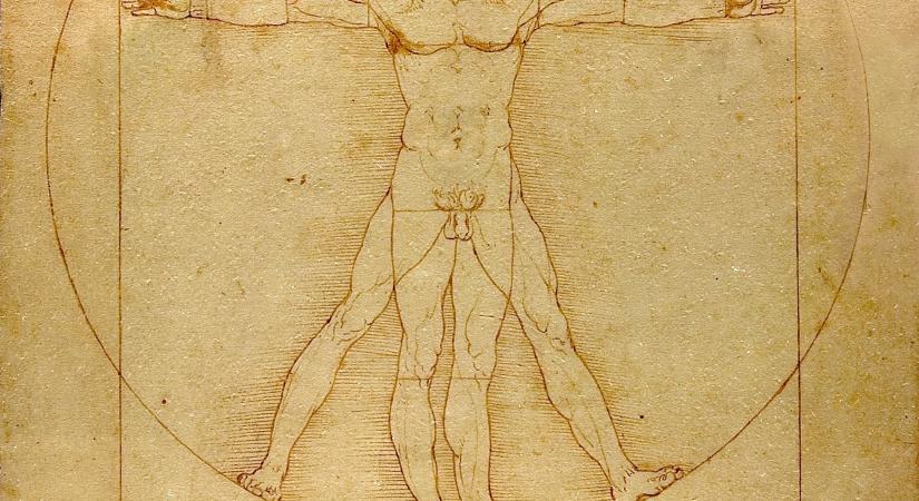 Megfejtették Da Vinci titkát: ezt jelenti a híres Vitruvius-tanulmány
