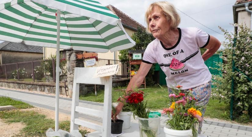 Mibe kerül Vasban a tisztesség? - Becsületkasszás körúton Kőszegen és környékén
