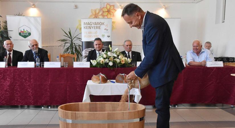 Kihívásokkal teli időszakban is segítenek a gazdák, elindult a búzagyűjtés a Jászkunságban – galériával, videóval