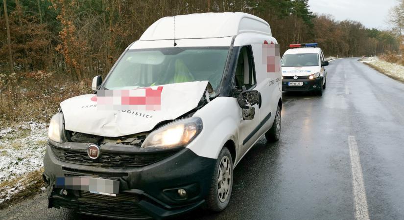 Szarvassal ütközött egy kisteherautó Sorokpolány közelében