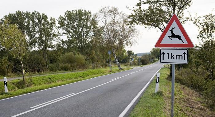 Kiadták a figyelmeztetést, veszély fenyeget a hazai utakon