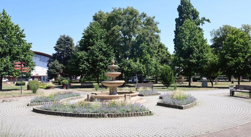 Mit kellene fejleszteni a miskolci Népkertben? Ezt mondják róla az emberek és az illetékesek... - képek, videó