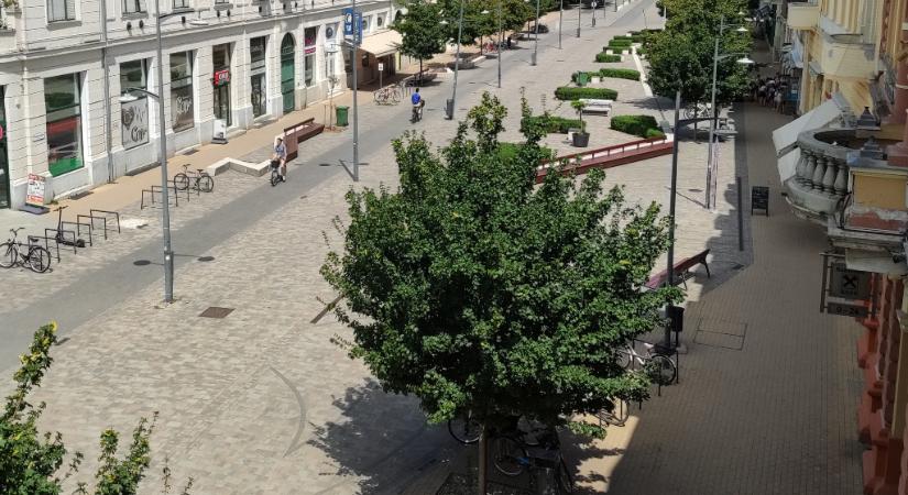Lenyomta a hőség a vásárhelyieket