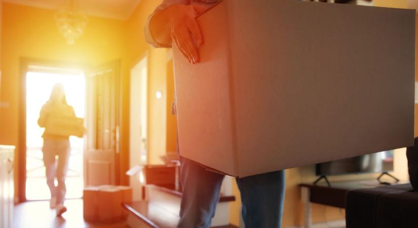 Albérletet keres? Kisgyerekkel vagy kutyával költözne? Kösse fel a felkötnivalóját, mutatjuk a lehetőségeket!