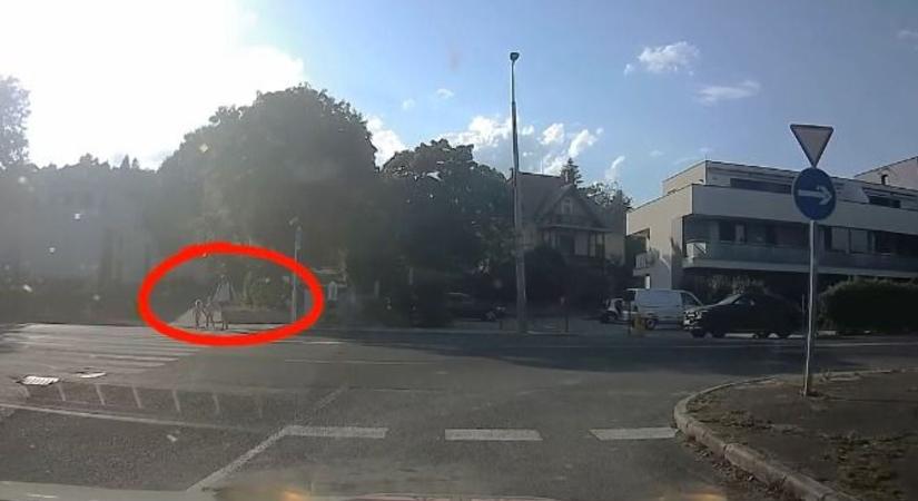 Zebránál gázolt volna át, rendőrök állították meg Balatonalmádiban  videó