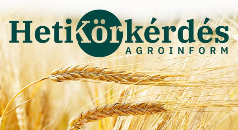 Miért összetett kérdés az őszi árpa fajtaválasztás? – Heti Körkérdés