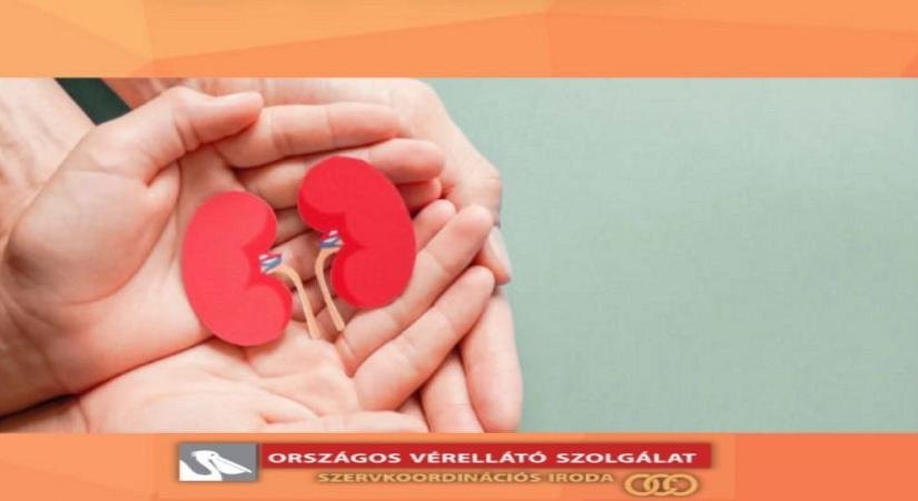 Bővülő lehetőségek az élődonoros veseátültetésben