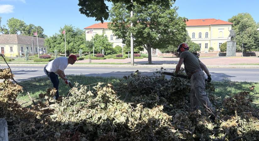 Szabadsága idején a polgármester beállt zöldhulladékot takarítani