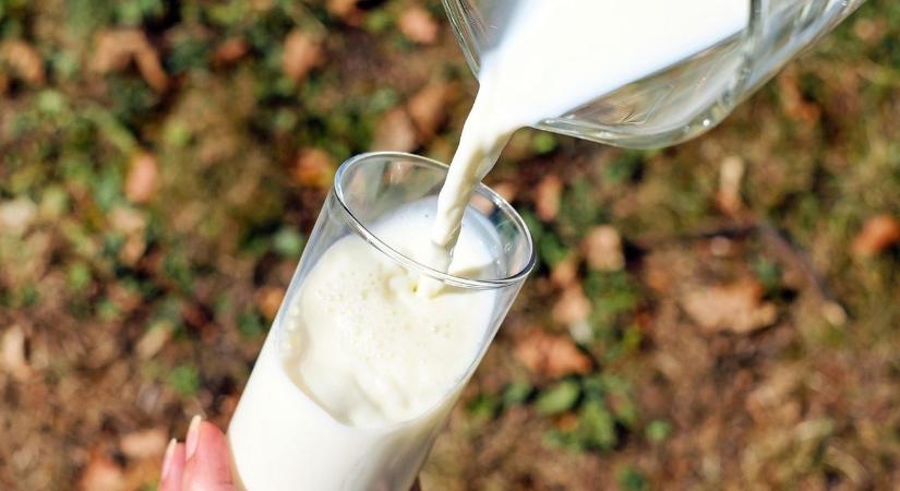 Megvonhatják a támogatást az iskolatej- és gyümölcsprogramtól