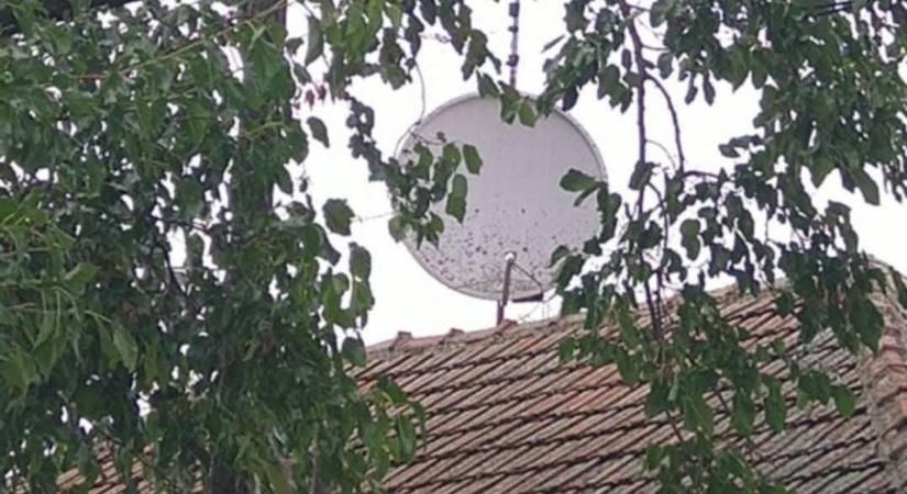 Pár nappal a viharkárok felszámolása után döbbenetes hírt kaptak a polgárőrök, egész Cibak erről beszél