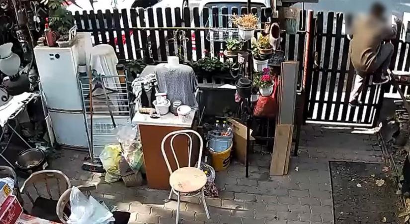 Biztonsági kamera felvételén ismerte fel a rendőr a csapókerti tolvajt – videóval