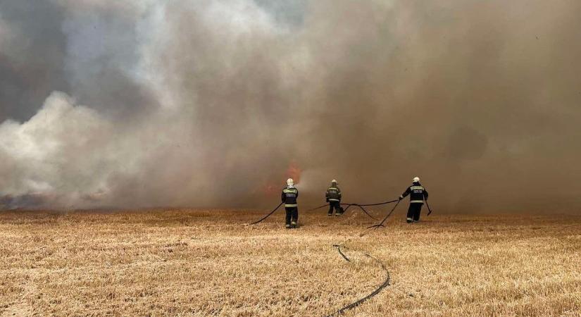 Csodás összefogással sikerült megfékezni a tamási tüzet (videó)