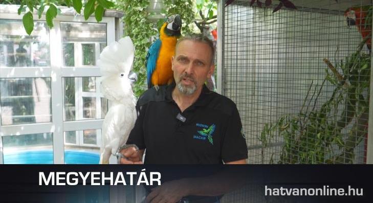 MEGYEHATÁR – Ruzsom madárparadicsom Horton 