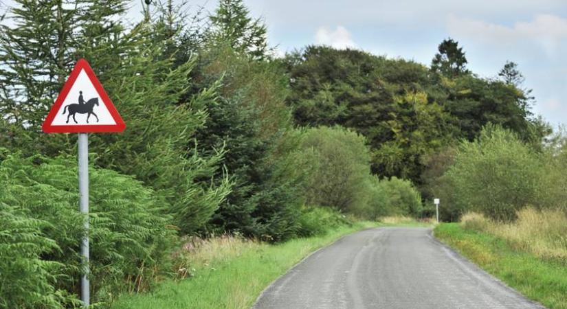 A 84 éves hölgy minden évben megteszi a 960 km-es távot lóháton - Óriási rajongótábora van