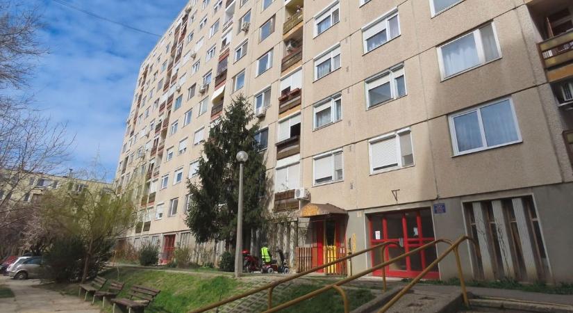 Olyan boltot találtak most Miskolcon, aminek már a létezését is sokan elfelejtették – videóval