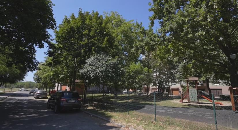 Közműcsere, új utak, közösségi tér kialakítása