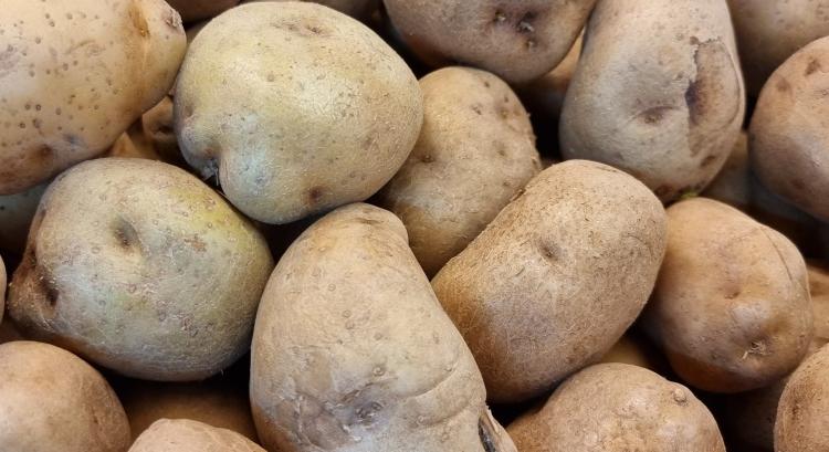 Van még mit fejleszteni a lengyel burgonyaszektorban