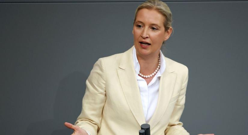 Történelmi szintre erősödött az AfD