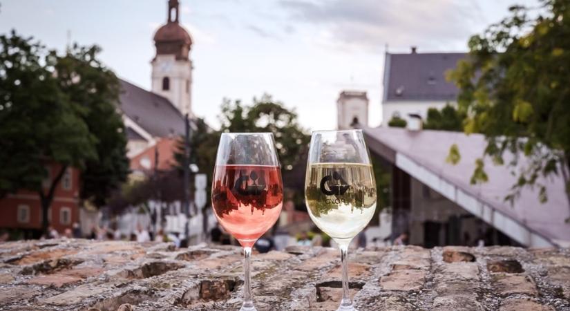Minden várakozást felülmúlt az idei Győri Rotary Fröccsnapok