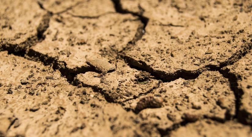 Visszatérhet a víz az Alföldre? Elindult a történelmi projekt