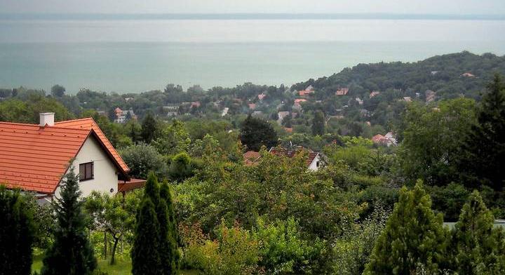 Sebzett vad terrorizálja az embereket a Balatonnál – egy férfi kórházba került
