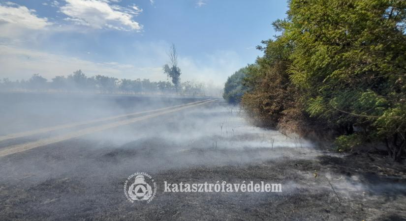 Közel 50 hektár égett le kedden
