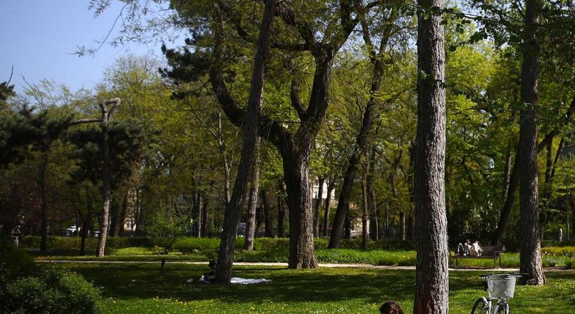 "Két szatyorral és a 41 éves autista fiammal kellett elhagynom az otthonomat" - egy hete a Népligetben él Éva