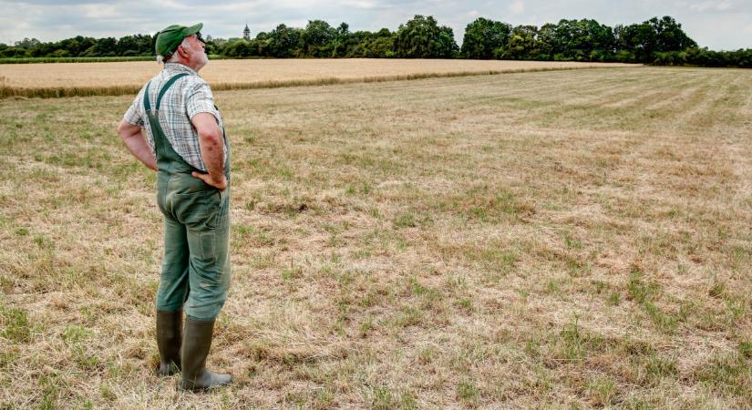 Elismerte a minisztérium: idén nem menti meg az agrárium a gazdaságot