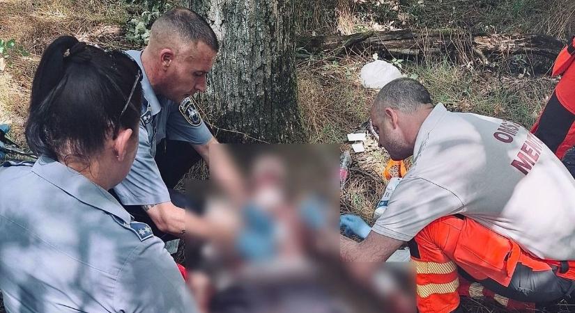Új részletek: így van most a férfi, aki végső elkeseredésében sebezte meg magát Debrecennél az erdőben